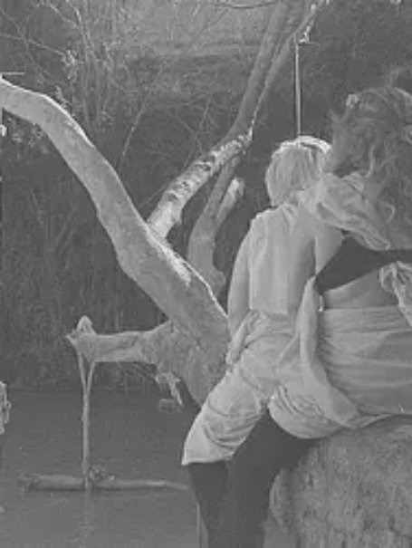 THE FAULT IN OUR SHAME